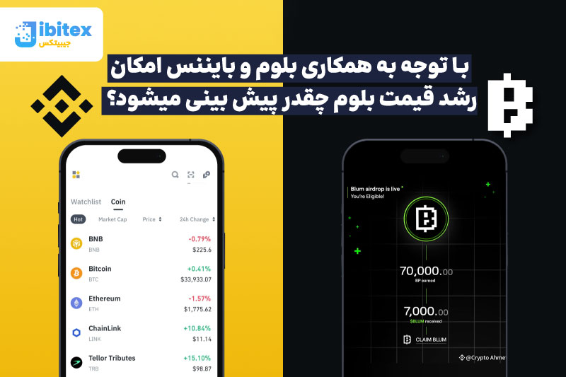 ایردراپ بلوم