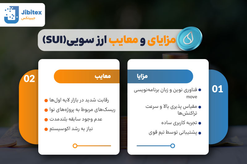 ارز دیجیتال سویی