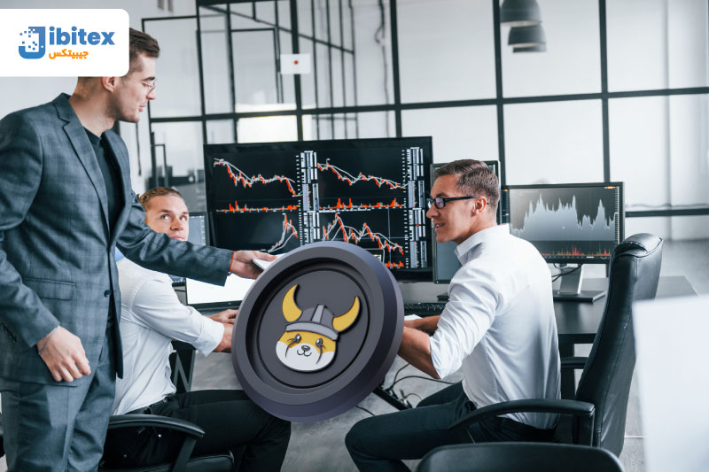 ارز دیجیتال فلوکی