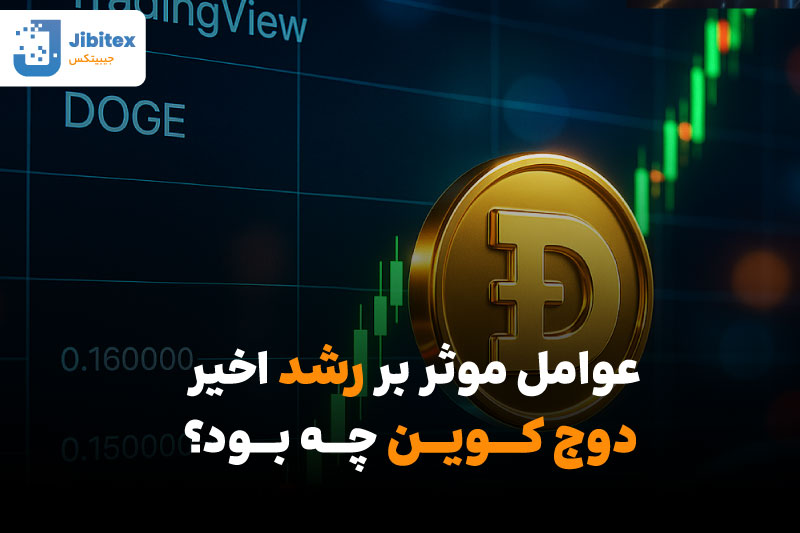 رشد دوج کوین
