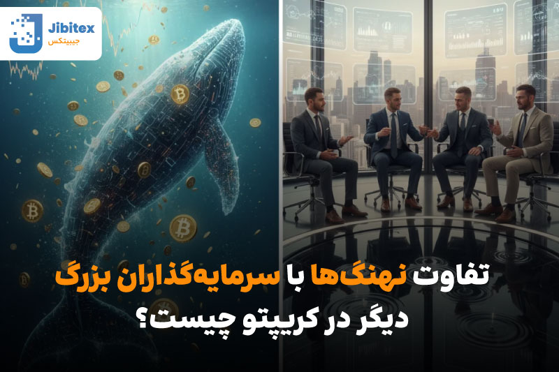 تاثیر نهنگها بر قیمت بیت کوین