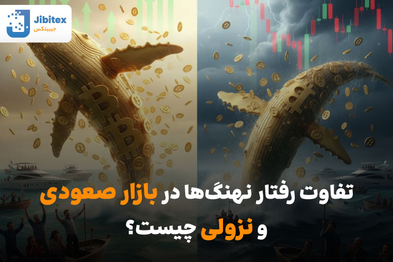 رفتار نهنگهای بیت کوین در بازار نزولی